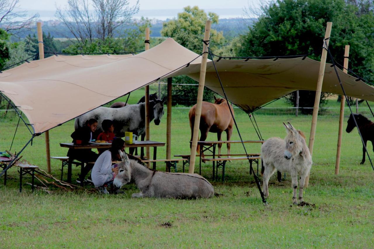 Dharma Horse Shelter Bungalows & Farmping Σίοφοκ Εξωτερικό φωτογραφία