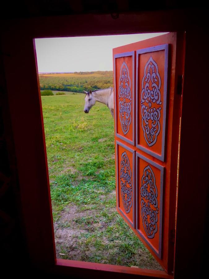 Dharma Horse Shelter Bungalows & Farmping Σίοφοκ Εξωτερικό φωτογραφία